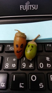 10.6　どんぐりちゃん