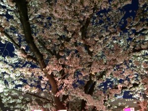 IMG_0832