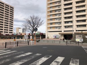 IMG_1352
