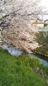 DSC_0190_20190408174011