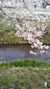 DSC_0194_20190408174004