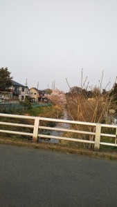 DSC_0196_20190408173955