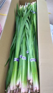 P_20190501_091359_vHDR_On_1