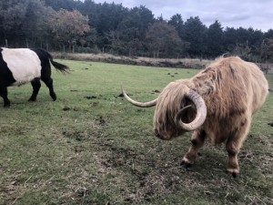 0A3C2C7F-2C6F-47BE-9C16-08673CA32AF4