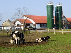 142C28ED-A7C7-45B4-A89F-AD2D1D7C90B1