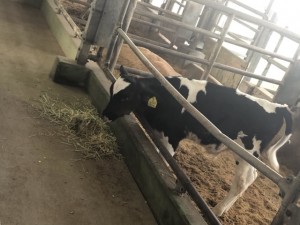 77BFC3F3-7AF5-4B55-AF46-4F900E6D33E4