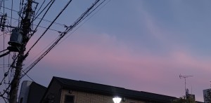 DSC_0677.JPG