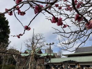 IMG_1096