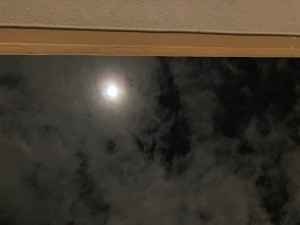 F63EAC9C-DCF8-4644-BC44-44562090573E