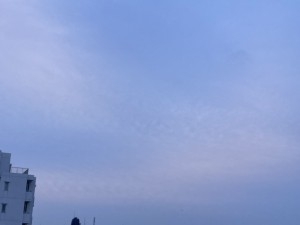 1A853769-BEB7-4E38-9AB3-931E2E44331E