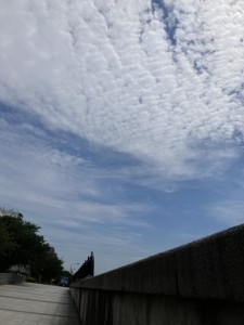 E72237D6-58AA-420B-A159-3C976ED80D2A