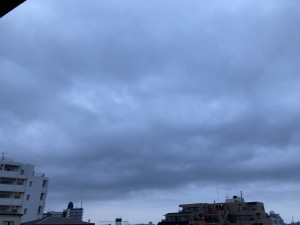 FC9A2637-49C3-45D0-9619-7D25686E1719