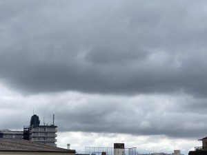 62B1B52D-8501-44A8-B1FE-D5509BD65078