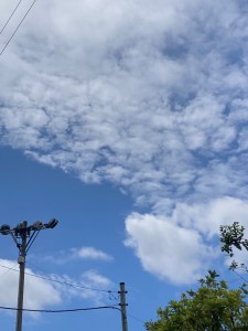 B0E2B069-4B3C-4843-A152-05D7EC81D920