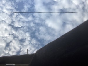 C7DAB3C4-2B04-4389-84D2-F0E12B42A8FD