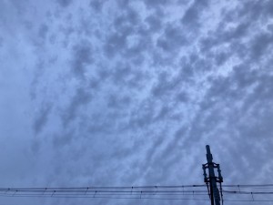 FC5B7CB4-E8C7-451B-A0A2-50616BFB4B51