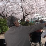 DSCF6227