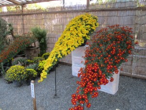 img_1555