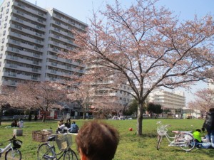 IMG_2988