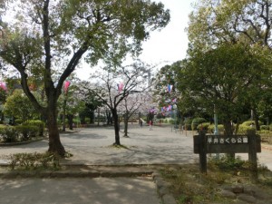 07-apr-CIMG9699