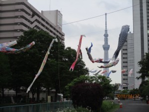 IMG_6938