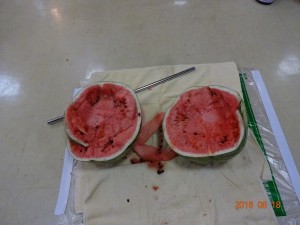 DSC0111911