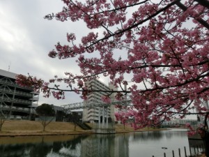 CIMG0767