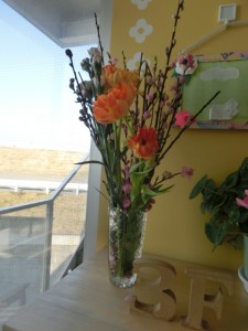 CIMG0795