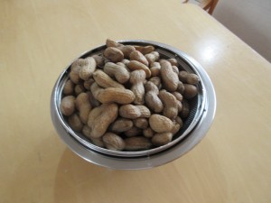 01-IMG_0149
