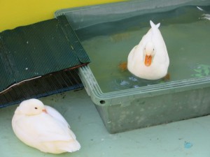 02-IMG_0504