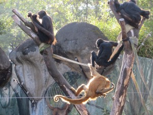 03-IMG_0511