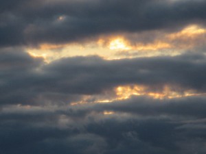 01-IMG_0918