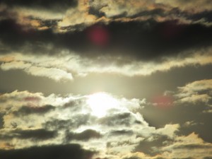 01-IMG_0919