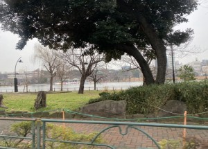 6DB6ED29-8C20-422B-A16D-65C78C195C14