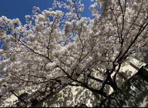 1804D071-A694-4277-A706-B6A99EE79C79