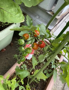 9A09E44D-F95B-4308-ACD9-11061E52EB89