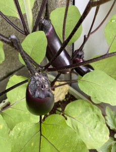 B717501D-398C-4263-9E31-7521ABFF4ABD